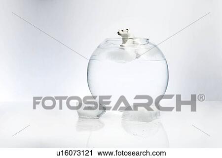 polar bear View Large Photo Image Stock Image - polar bear. Fotosearch