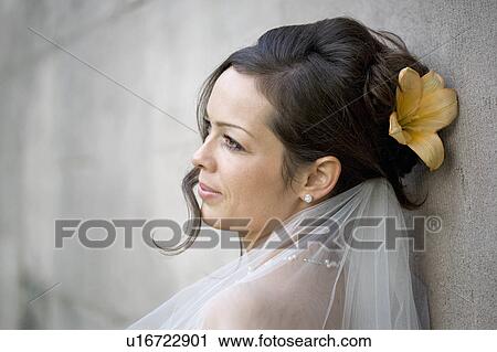 Portrait of a bride. View Large Photo Image Stock Image - Portrait of a bride.. Fotosearch