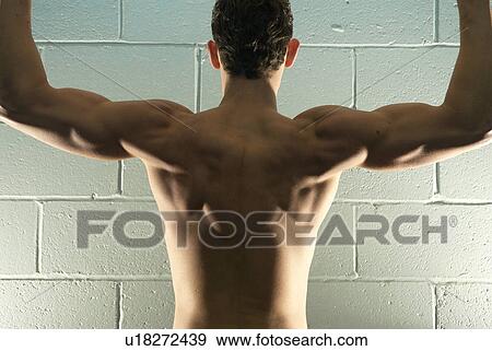 Stock Photo - rear view of man flexing. Fotosearch