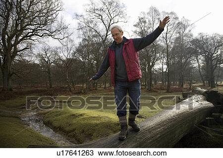 Stock Image - Retired Man Balancing on Tree. Fotosearch