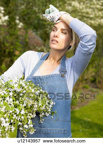 Woman holding a flower pot View Large Photo Image Stock Photo - Woman holding a flower pot. Fotosearch