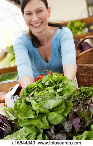 Woman shopping head of lettuce View Large Photo Image Stock Photo - Woman shopping head of lettuce. Fotosearch