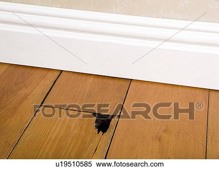 Stock Photography - Wooden floor with hole in. Fotosearch