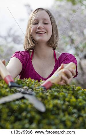 young girl cutting hedge View Large Photo Image Stock Photograph - young girl cutting hedge. Fotosearch