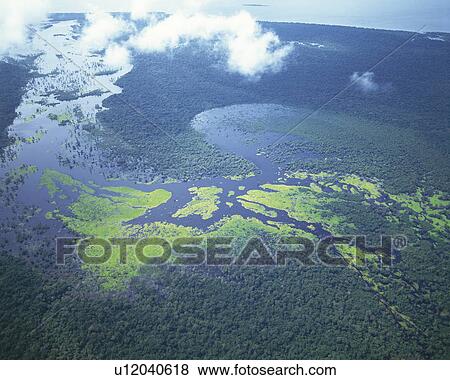 Stock Photo - Aerial shot of Amazon forest. Fotosearch
