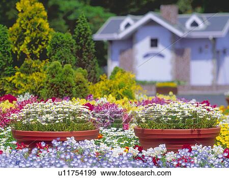 Stock Photo - Backyard with flowers. Fotosearch