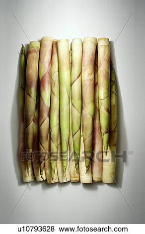 Bamboo shoots View Large Photo Image Stock Photo - Bamboo shoots. Fotosearch