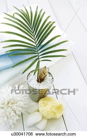 Stock Photograph - Bars of soap, sponge and potted plant. Fotosearch