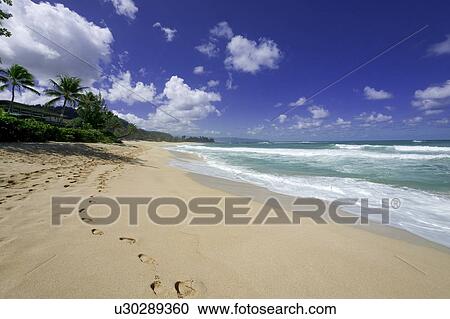 Stock Image - Beach, Hawaii, USA. Fotosearch