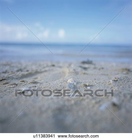 Beach View Large Photo Image Stock Image - Beach. Fotosearch