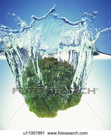 Stock Image - Broccoli dropped in water, white background. Fotosearch