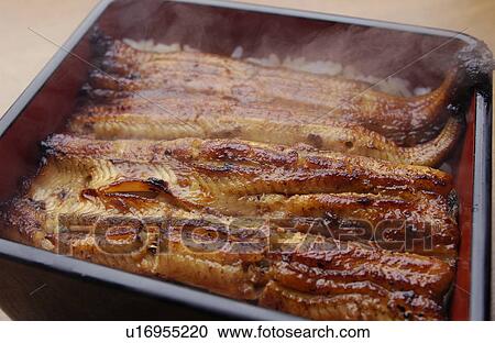 Stock Image - Broiled eel on rice in box, close up. Fotosearch