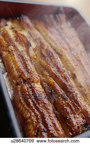 Broiled eel on rice in box, close up View Large Photo Image Stock Photo - Broiled eel on rice in box, close up. Fotosearch