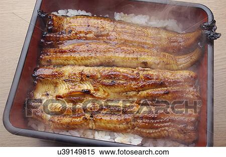 Broiled eel on rice in box, close up View Large Photo Image Stock Photography - Broiled eel on rice in box, close up. Fotosearch
