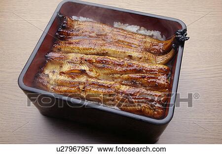 Stock Photo - Broiled eel on rice in box. Fotosearch