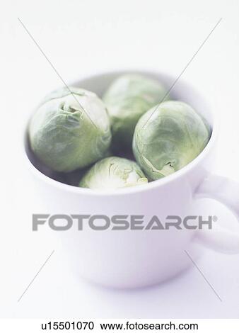 Brussels Sprouts in Mug Cup View Large Photo Image Stock Image - Brussels Sprouts in Mug Cup. Fotosearch