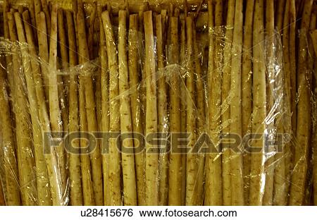 Stock Photograph - Burdock Root Packed in Plastic Bag. Fotosearch