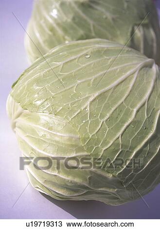 Cabbages, close up, blue background View Large Photo Image Stock Image - Cabbages, close up, blue background. Fotosearch