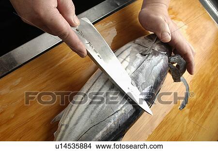 Picture - Chef cutting bonito, close up. Fotosearch