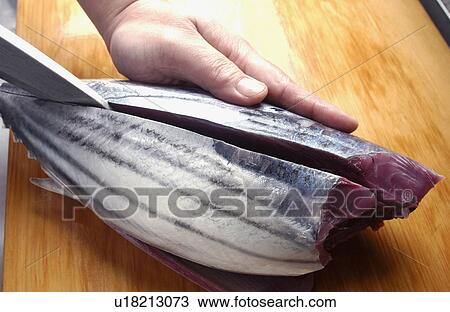 Chef cutting bonito, close up View Large Photo Image Stock Image - Chef cutting bonito, close up. Fotosearch