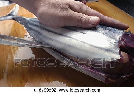Chef cutting bonito, close up View Large Photo Image Stock Image - Chef cutting bonito, close up. Fotosearch
