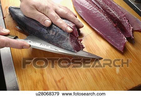 Chef cutting bonito, close up View Large Photo Image Stock Photo - Chef cutting bonito, close up. Fotosearch