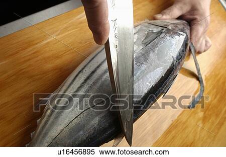 Chef cutting bonito, close up View Large Photo Image Stock Photography - Chef cutting bonito, close up. Fotosearch