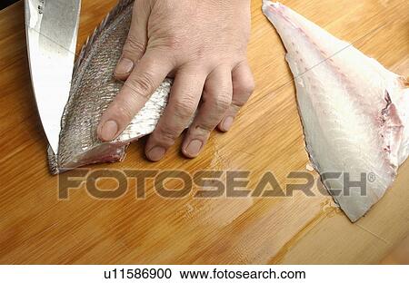 Chef cutting sea bream, close up View Large Photo Image Stock Image - Chef cutting sea bream, close up. Fotosearch