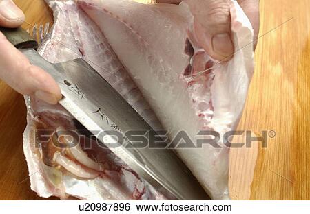 Chef cutting sea bream, close up View Large Photo Image Stock Photograph - Chef cutting sea bream, close up. Fotosearch