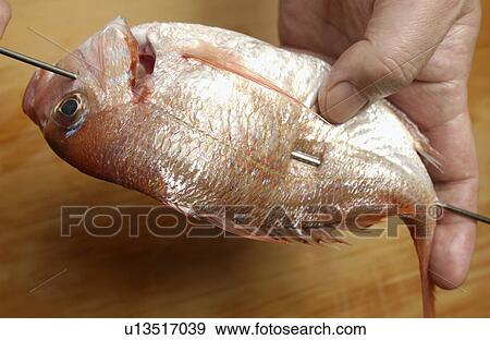 Chef skewering sea bream, close up View Large Photo Image Stock Photo - Chef skewering sea bream, close up. Fotosearch