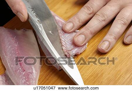 Stock Photo - Chef slicing horse mackerel, close up. Fotosearch