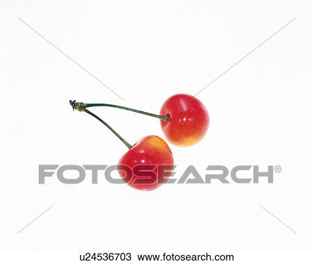 Cherries View Large Photo Image Stock Image - Cherries. Fotosearch