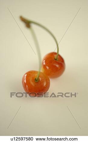 Stock Image - Cherries, white background. Fotosearch