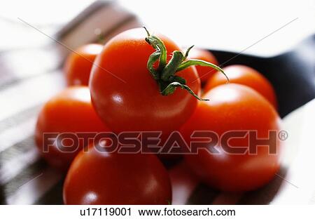 Cherry tomatoes View Large Photo Image Stock Image - Cherry tomatoes. Fotosearch