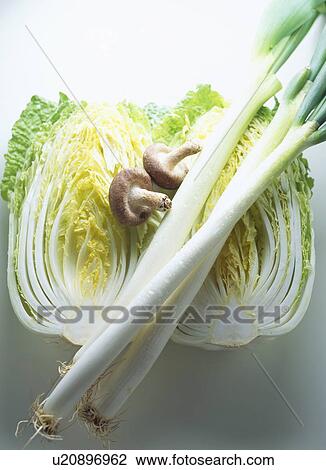 Chinese Cabbage, Green Onion, Chinese Mushroom View Large Photo Image Stock Image - Chinese Cabbage, Green Onion, Chinese Mushroom. Fotosearch