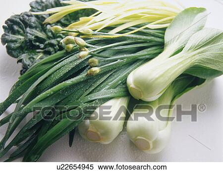 Chinese Vegetable, Chinese Chive, Bok Choy View Large Photo Image Stock Photography - Chinese Vegetable, Chinese Chive, Bok Choy. Fotosearch