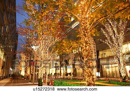 Christmas illumination, Tokyo Prefecture, Honshu, Japan View Large Photo Image Stock Photo - Christmas illumination, Tokyo Prefecture, Honshu, Japan. Fotosearch