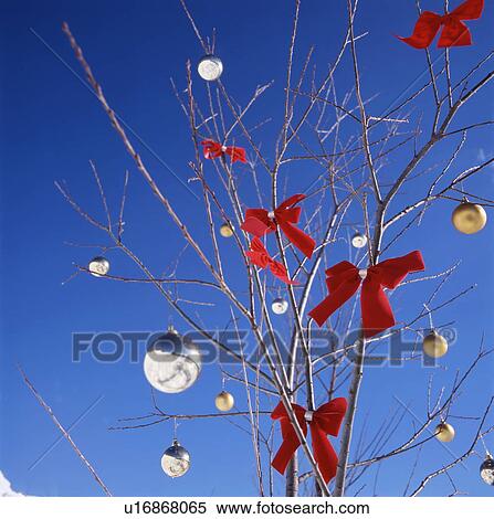 Christmas tree and blue sky View Large Photo Image Stock Photography - Christmas tree and blue sky. Fotosearch