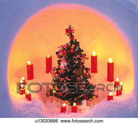 Christmas tree in kayaker View Large Photo Image Stock Photograph - Christmas tree in kayaker. Fotosearch
