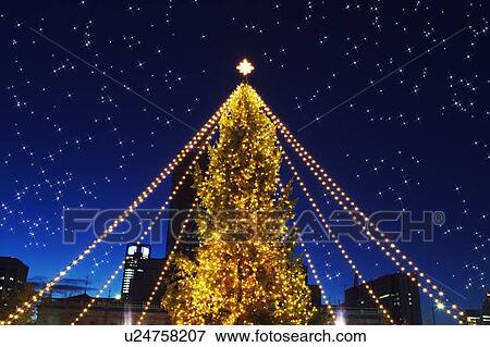 Stock Photo - Christmas tree, Osaka Prefecture, Honshu, Japan. Fotosearch