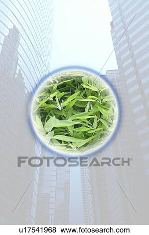 Circle of Green Grass in Buildings View Large Photo Image Stock Photo - Circle of Green Grass in Buildings. Fotosearch
