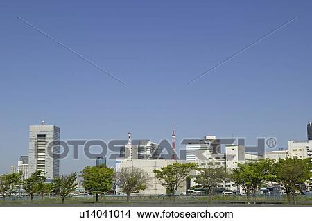 Cityscape under blue sky, copy space, Tokyo prefecture, Japan View Large Photo Image Picture - Cityscape under blue sky, copy space, Tokyo prefecture, Japan. Fotosearch