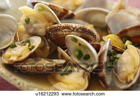Clams steamed by sake View Large Photo Image Stock Image - Clams steamed by sake. Fotosearch