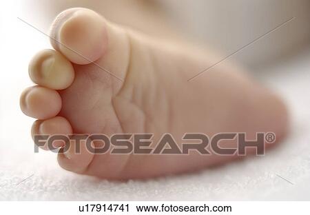 Stock Image - Close Up Image of Baby's Foot. Fotosearch
