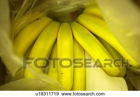 Close Up Image of Banana in Plastic Bag View Large Photo Image Stock Photo - Close Up Image of Banana in Plastic Bag. Fotosearch