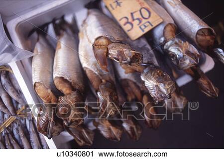 Close Up Image of Herring at Market View Large Photo Image Stock Image - Close Up Image of Herring at Market. Fotosearch