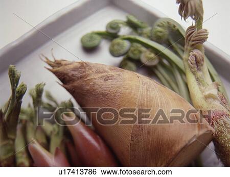 Stock Photograph - Close Up Image of Japanese Spring Vegetable. Fotosearch