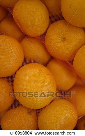 Close Up Image of Orange in Net View Large Photo Image Picture - Close Up Image of Orange in Net. Fotosearch