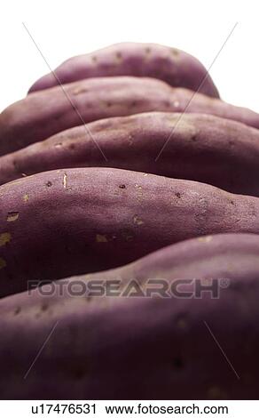 Close Up Image of Sweet Potatoes View Large Photo Image Stock Image - Close Up Image of Sweet Potatoes. Fotosearch
