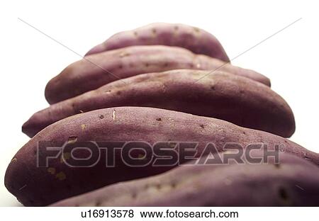 Close Up Image of Sweet Potatoes View Large Photo Image Stock Photo - Close Up Image of Sweet Potatoes. Fotosearch